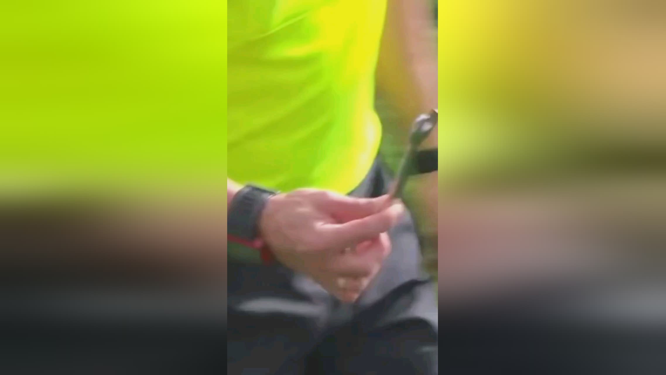 在利